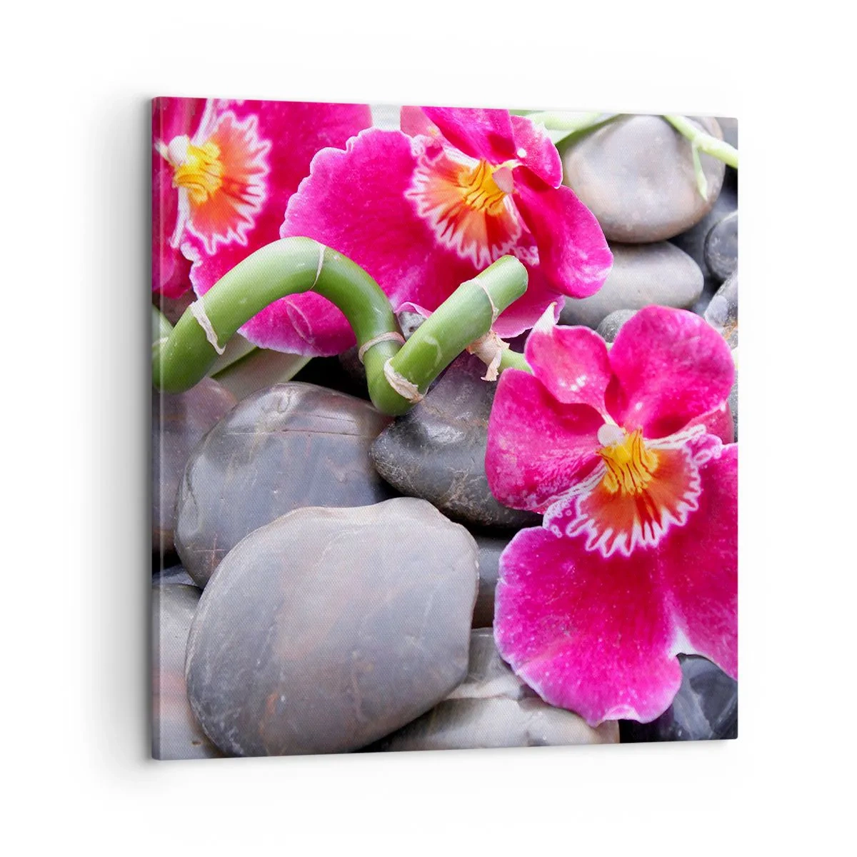 Tablou pe pânză - Frig și căldură - 60x60 cm