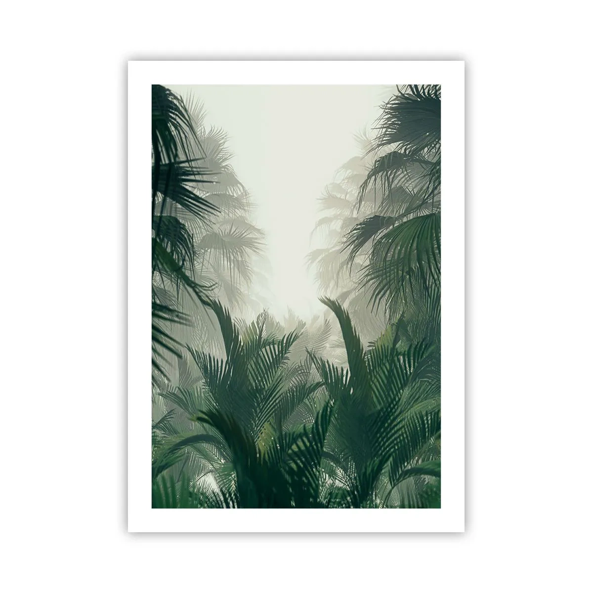 Poster - Mister tropical - 50x70 cm