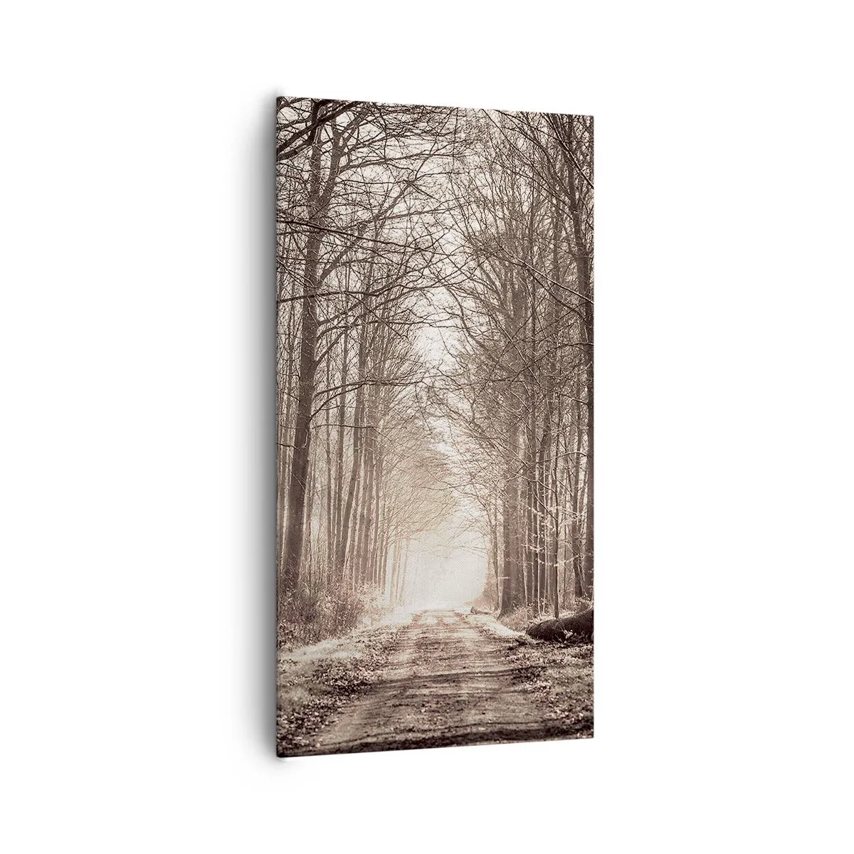 Tablou pe pânză - Catedrala Forestieră - 65x120 cm