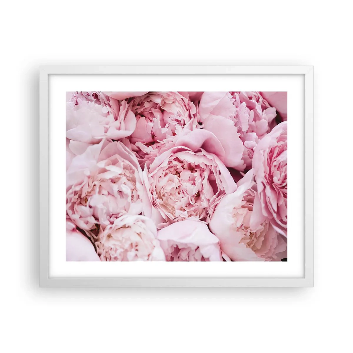 Poster în ramă albă - Îmbrățișate și parfumate - 50x40 cm