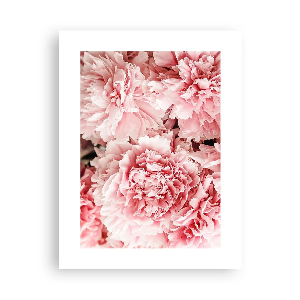 Poster - Visul roz - 30x40 cm
