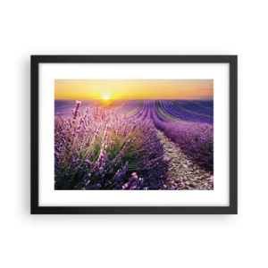 Poster în ramă neagră - Câmpul parfumat - 40x30 cm