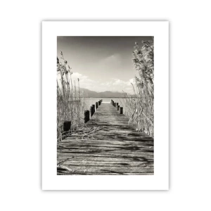 Poster - În intimitatea ierburilor - 30x40 cm