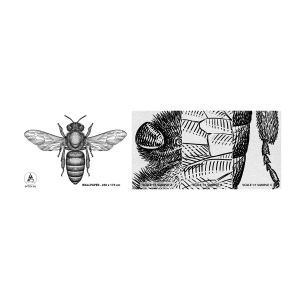 Mostră tapet Premium Canvas - Portret de insectă - Albină, Insectă, Minimalist - 100x30 cm
