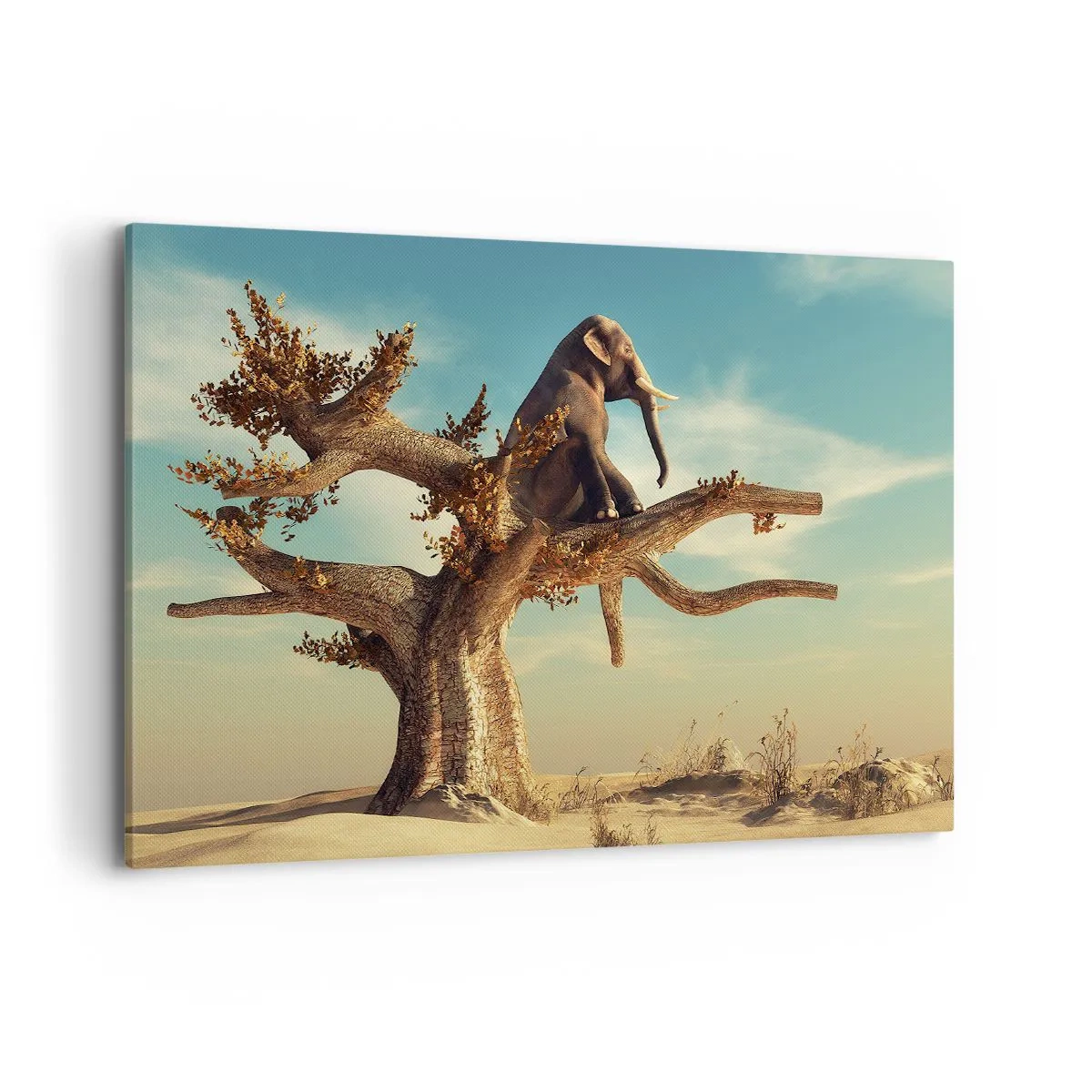 Tablou pe pânză - Un nou punct de vedere - 100x70 cm