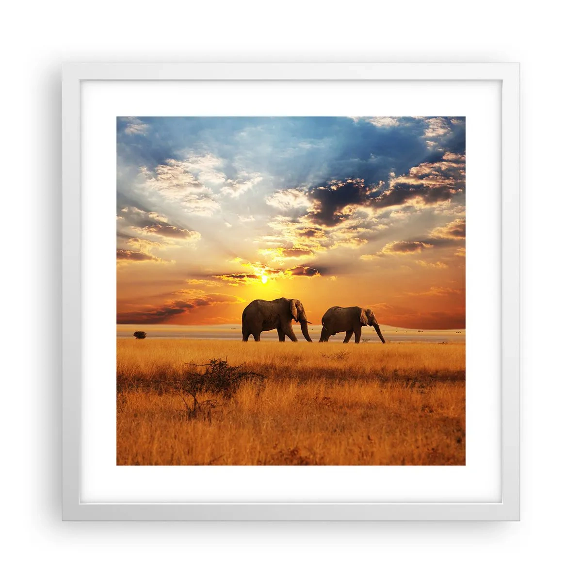 Poster în ramă albă - Plimbare în familie - 40x40 cm