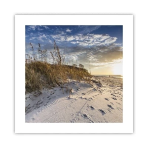 Poster - Invitație la o plimbare - 40x40 cm