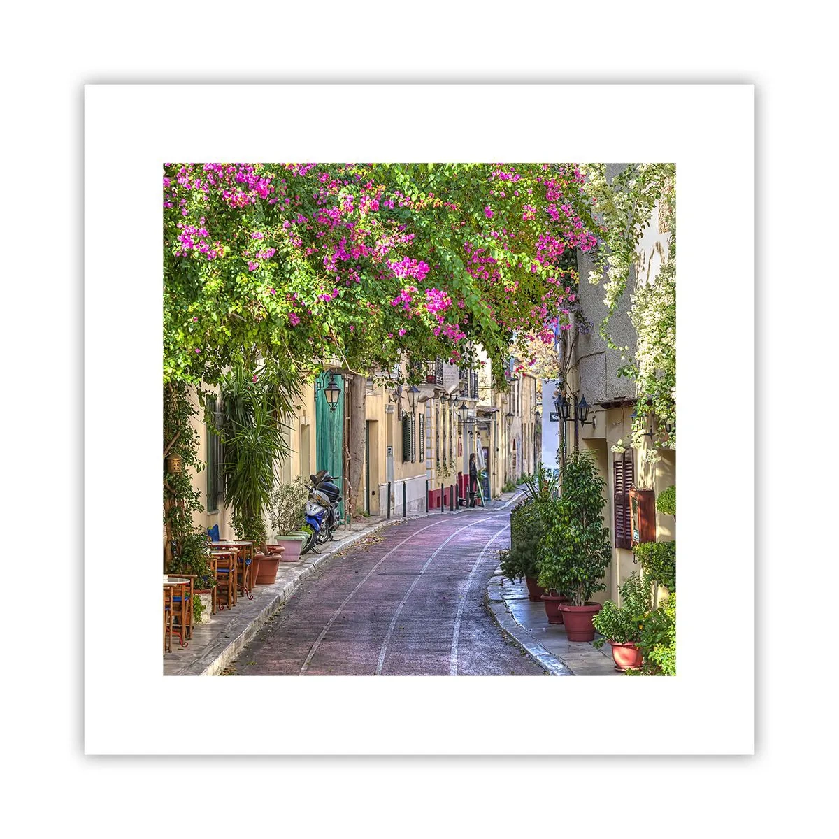 Poster - Alee înfloritoare - 30x30 cm