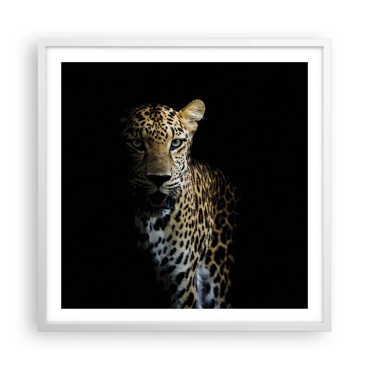 Poster în ramă albă - Frumusețe întunecată - 60x60 cm