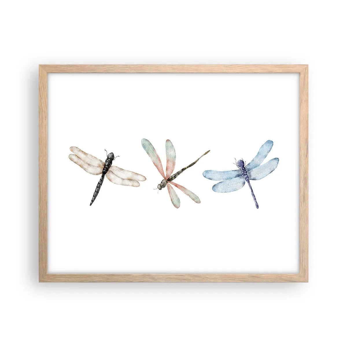 Poster în ramă de stejar deschis - Libelule imponderabile - 50x40 cm