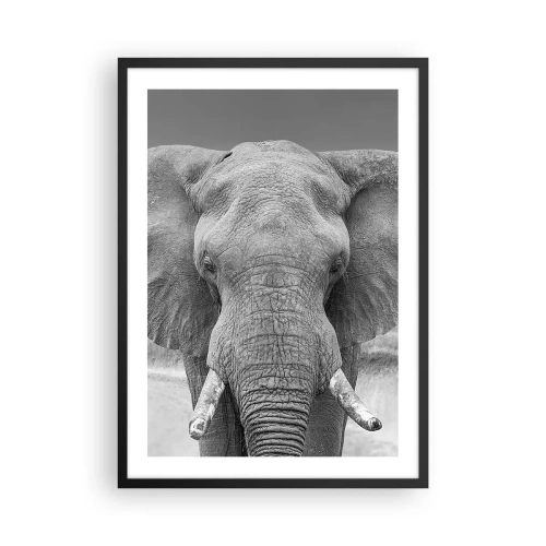 Poster în ramă neagră - Elefant în fotografie artistică alb-negru - 50x70cm - Bun venit în lumea mea - Decorațiune modernă pentru perete pentru living și dormitor ARTTOR