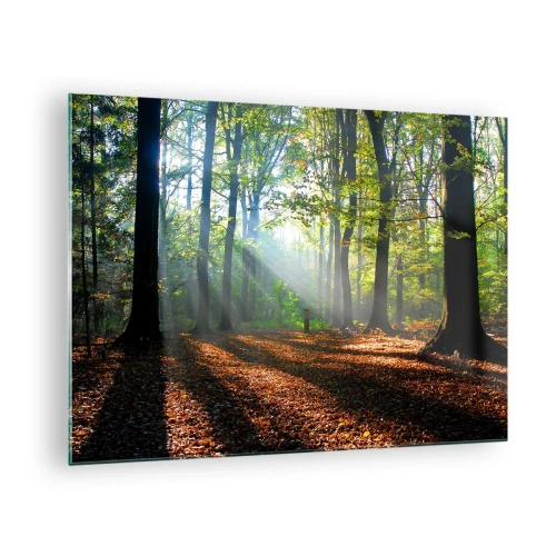 Tablou pe sticlă - O pădure în razele soarelui într-un peisaj de toamnă - 70x50cm - Străluciri și umbre - Decorațiune modernă pentru perete pentru living și dormitor ARTTOR