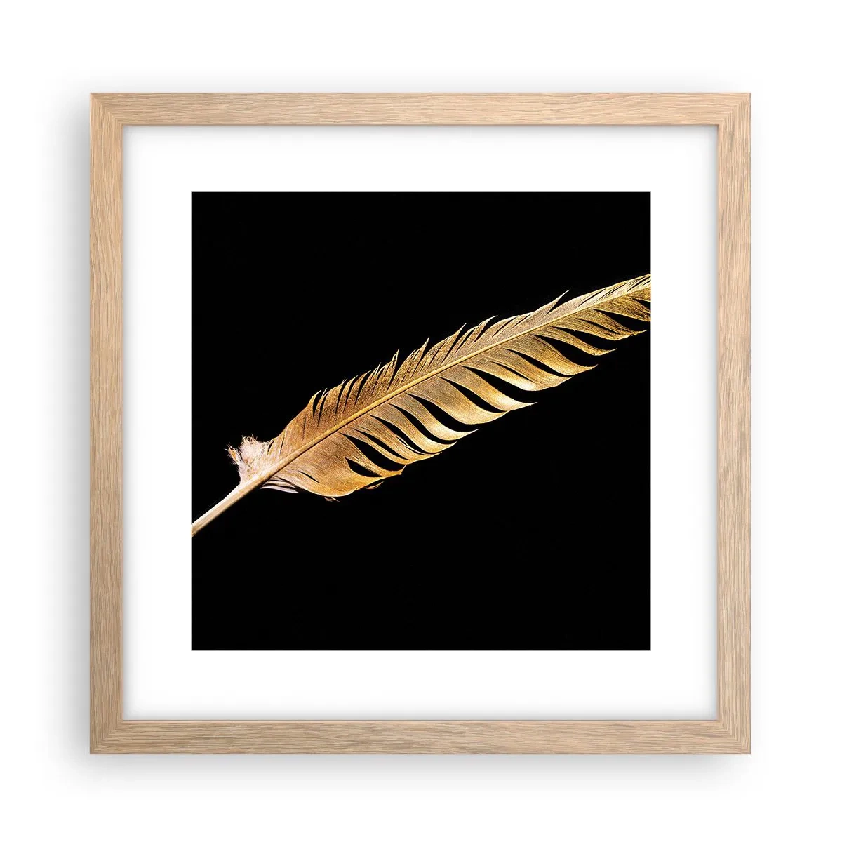 Poster în ramă de stejar deschis - Pană aurie perfectă - 30x30 cm