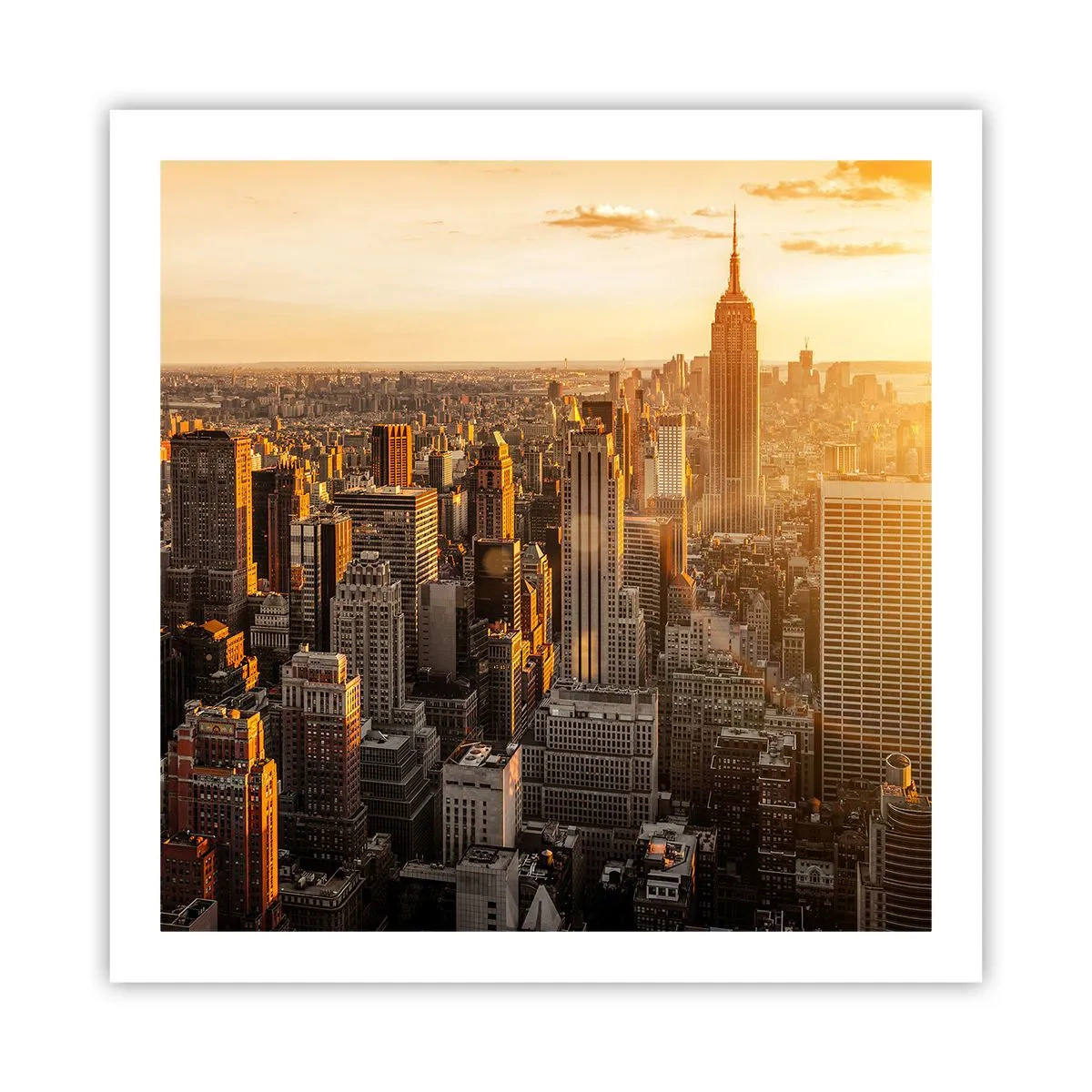 Poster - Crescând la soare - 60x60 cm