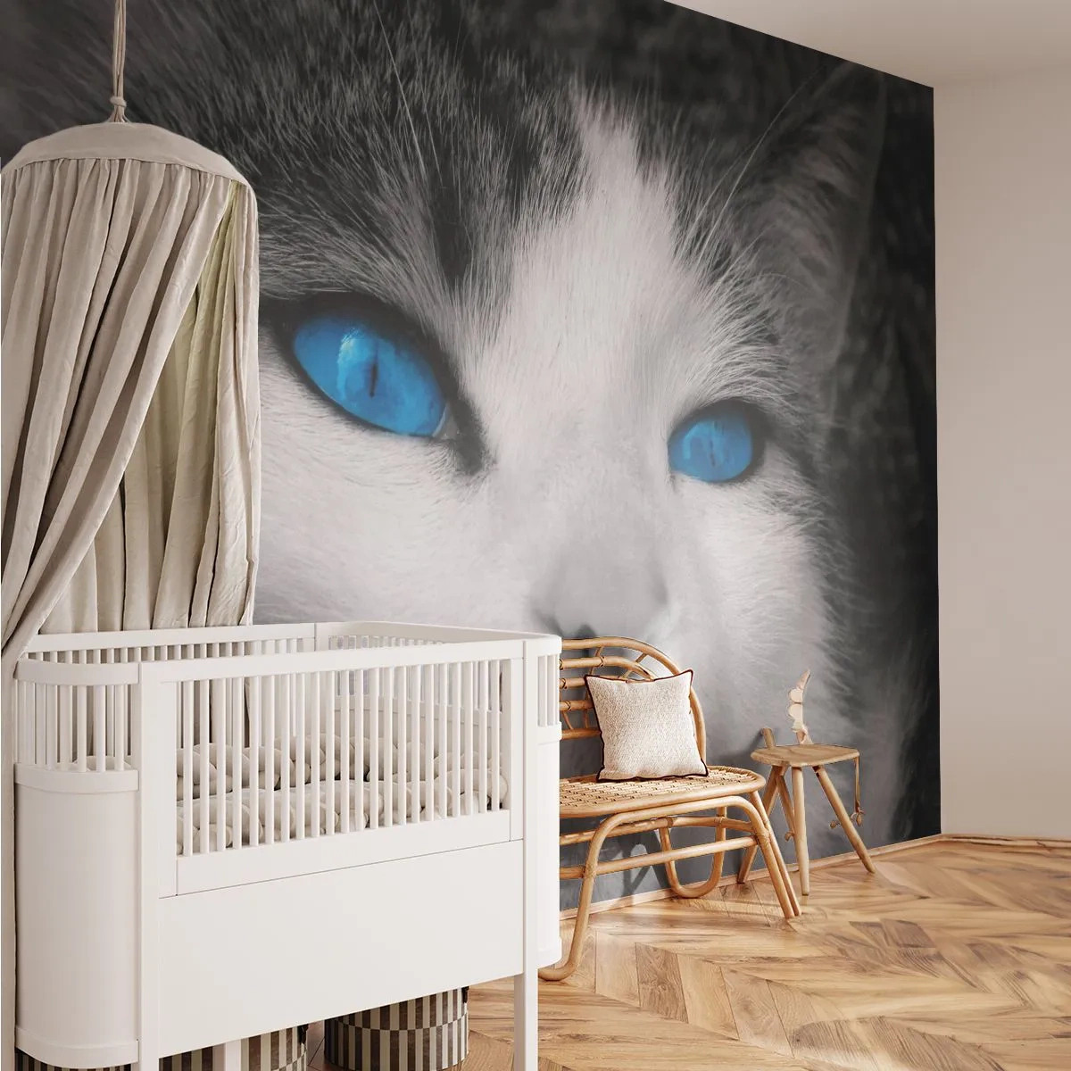 Tapet Premium Canvas - Neobișnuită cu ochii albaștri - Animale, Pisică, Ochi albaștrii - 250x175 cm