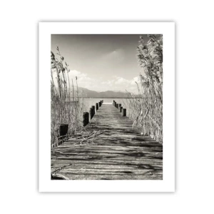 Poster - În intimitatea ierburilor - 40x50 cm