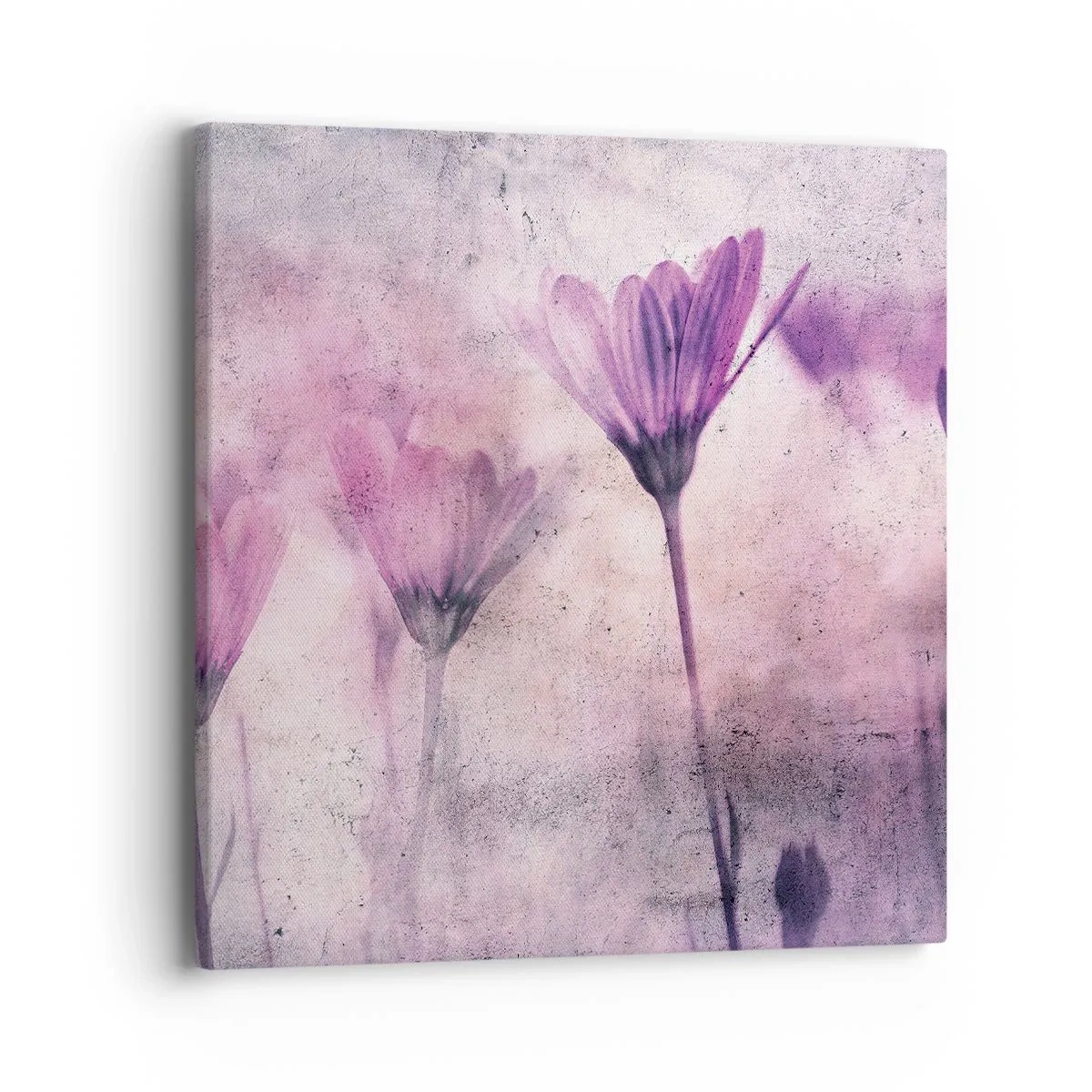 Tablou pe pânză - Un vis de flori - 40x40 cm