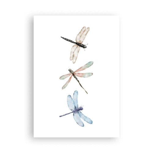 Poster - Libelule imponderabile - 70x100 cm