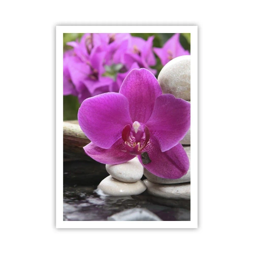 Poster - Te odihnești deja - 70x100 cm