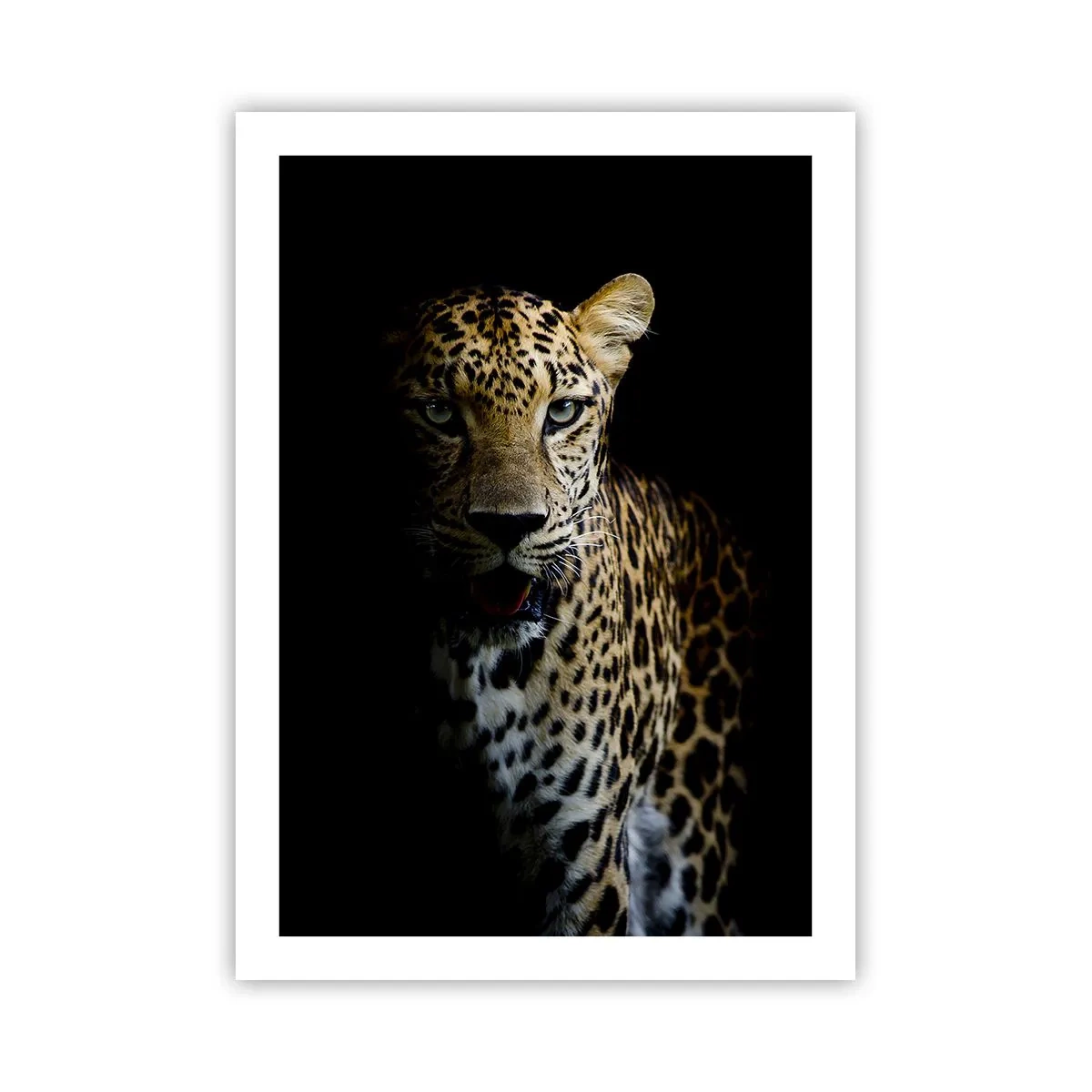 Poster - Frumusețe întunecată - 50x70 cm