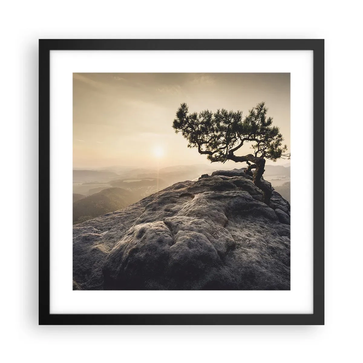 Poster în ramă neagră - Viața învinge întotdeauna - 40x40 cm