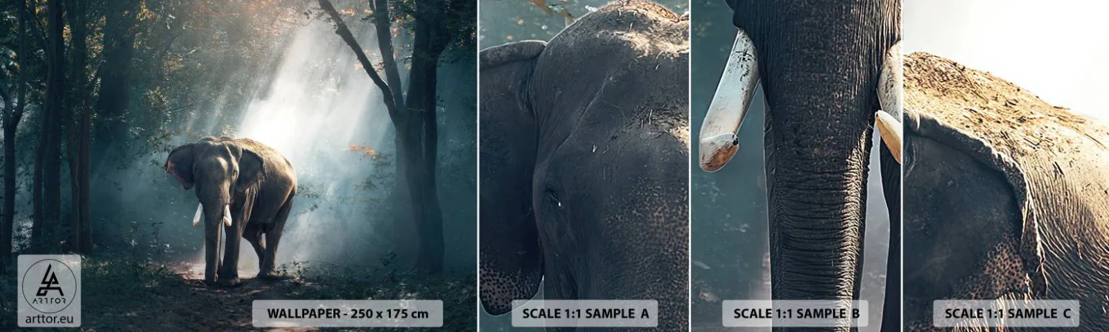 Mostră de Tapet Standard Eco - O plimbare liniștită - Animale, Elefant, Junglă - 100x30 cm