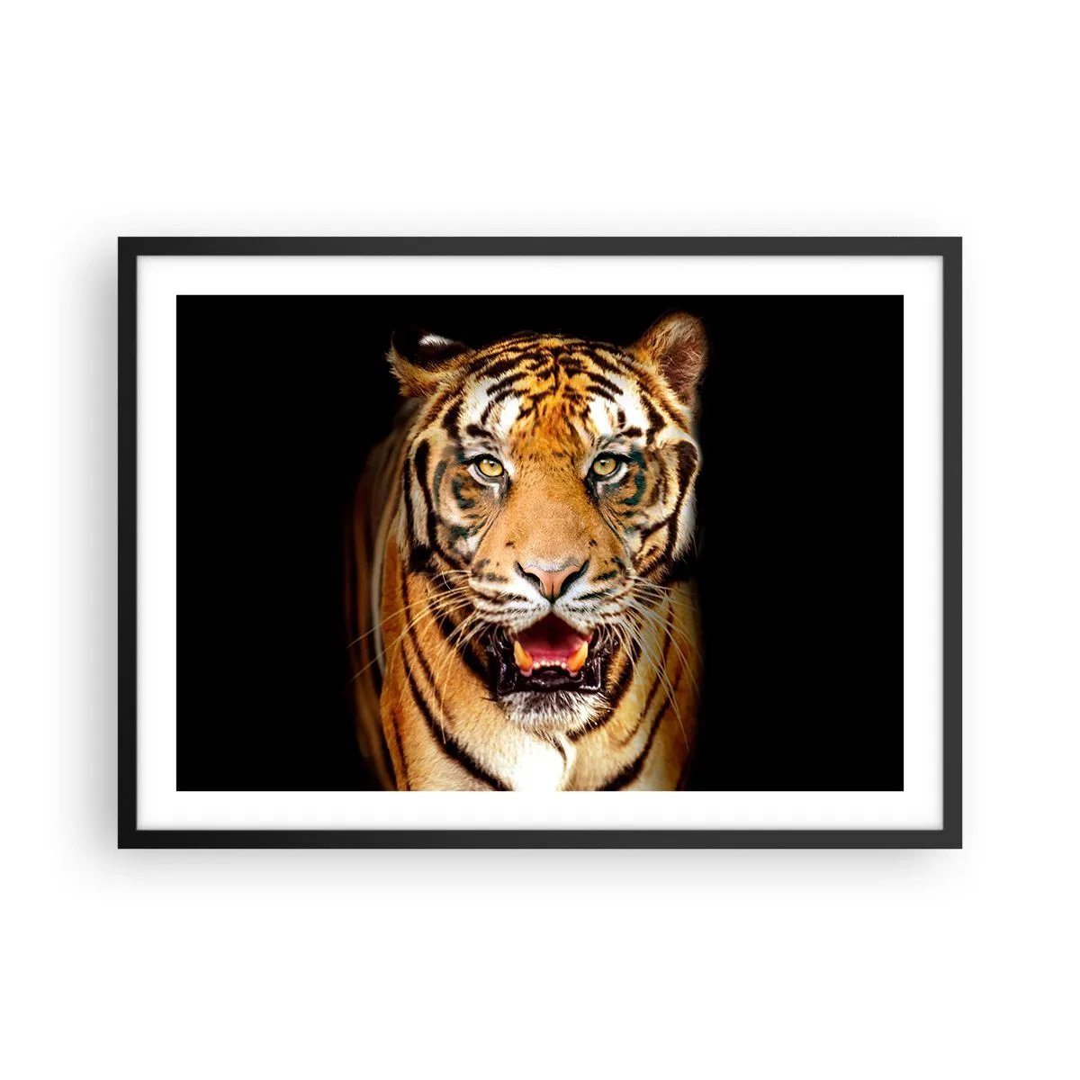 Poster în ramă neagră - Sălbăticia inimii - 70x50 cm