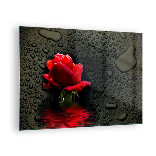 Tablou pe sticlă - Trandafir roșu cu picături de apă pe un fundal întunecat - 70x50cm - Roșu și negru - Decorațiune modernă pentru perete pentru living și dormitor ARTTOR