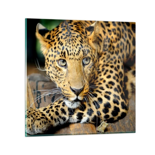 Tablou pe sticlă - Nu-ți fie teamă, apropie-te - 60x60 cm