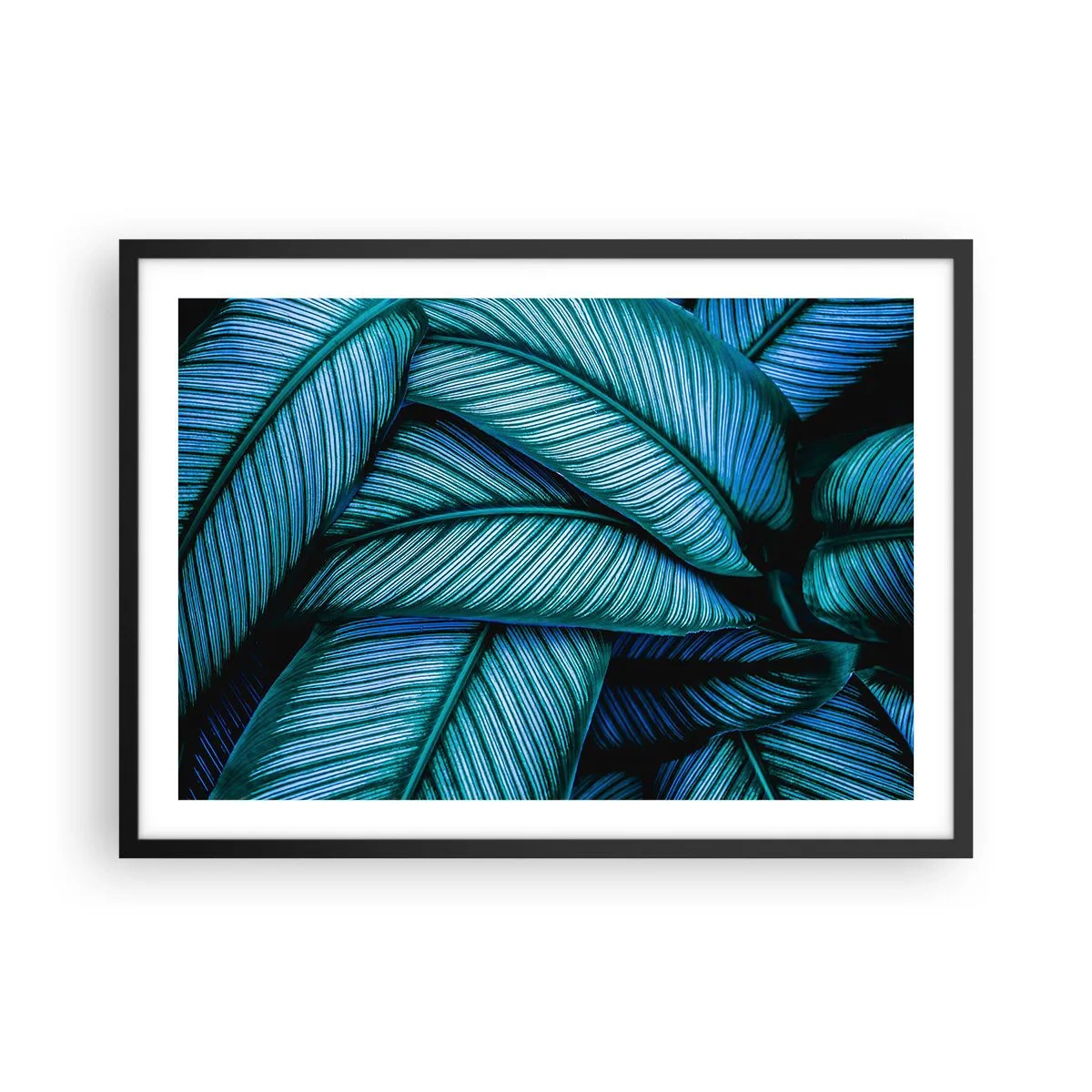 Poster în ramă neagră - Linii de viață - 70x50 cm