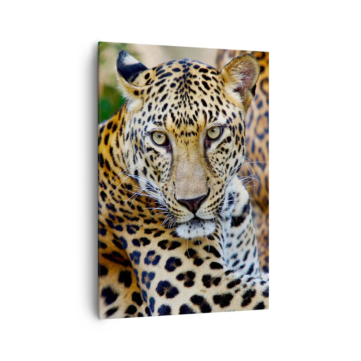 Tablou pe pânză - Sălbatic și liniștit - 70x100 cm