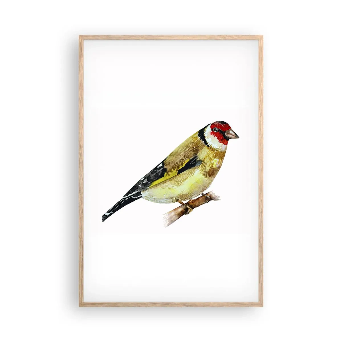 Poster în ramă de stejar deschis - Portret de pasăre - 61x91 cm