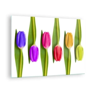 Tablou pe sticlă - Lalele colorate aranjate pe un fundal alb - 70x50cm - Compoziție curcubeu - Decorațiune modernă pentru perete pentru living și dormitor ARTTOR