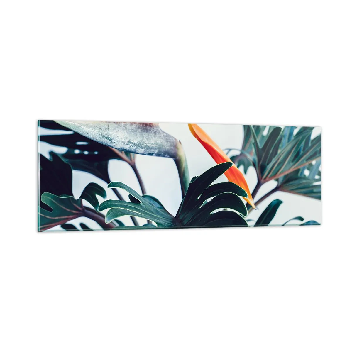 Tablou pe sticlă - Tufiș sau pasăre? - 90x30 cm