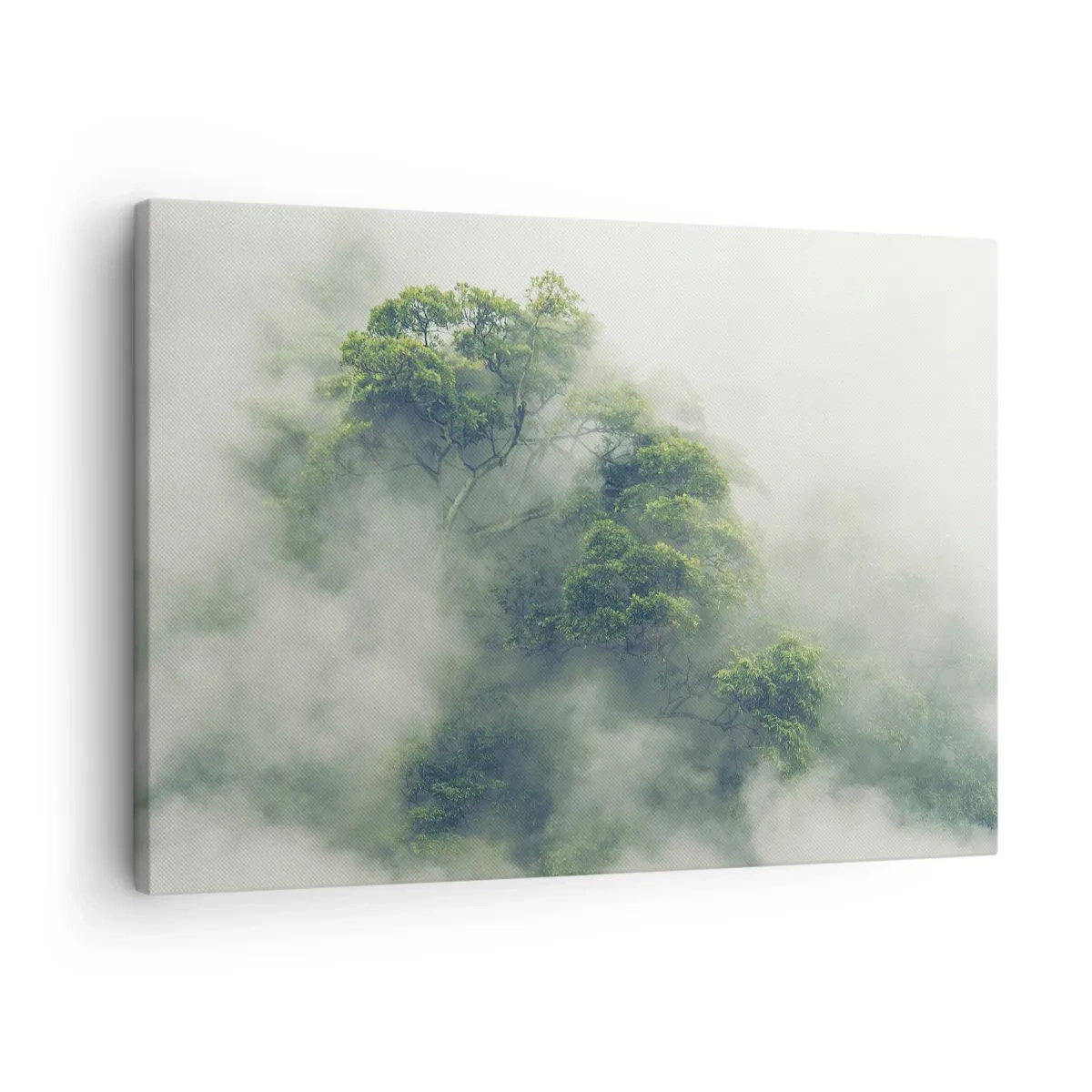 Tablou pe pânză - Înfășurate în ceață - 70x50 cm