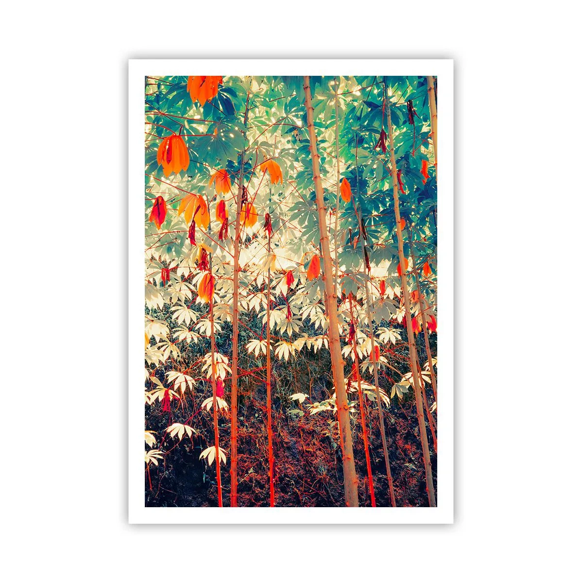 Poster - Viața secretă a frunzelor - 70x100 cm