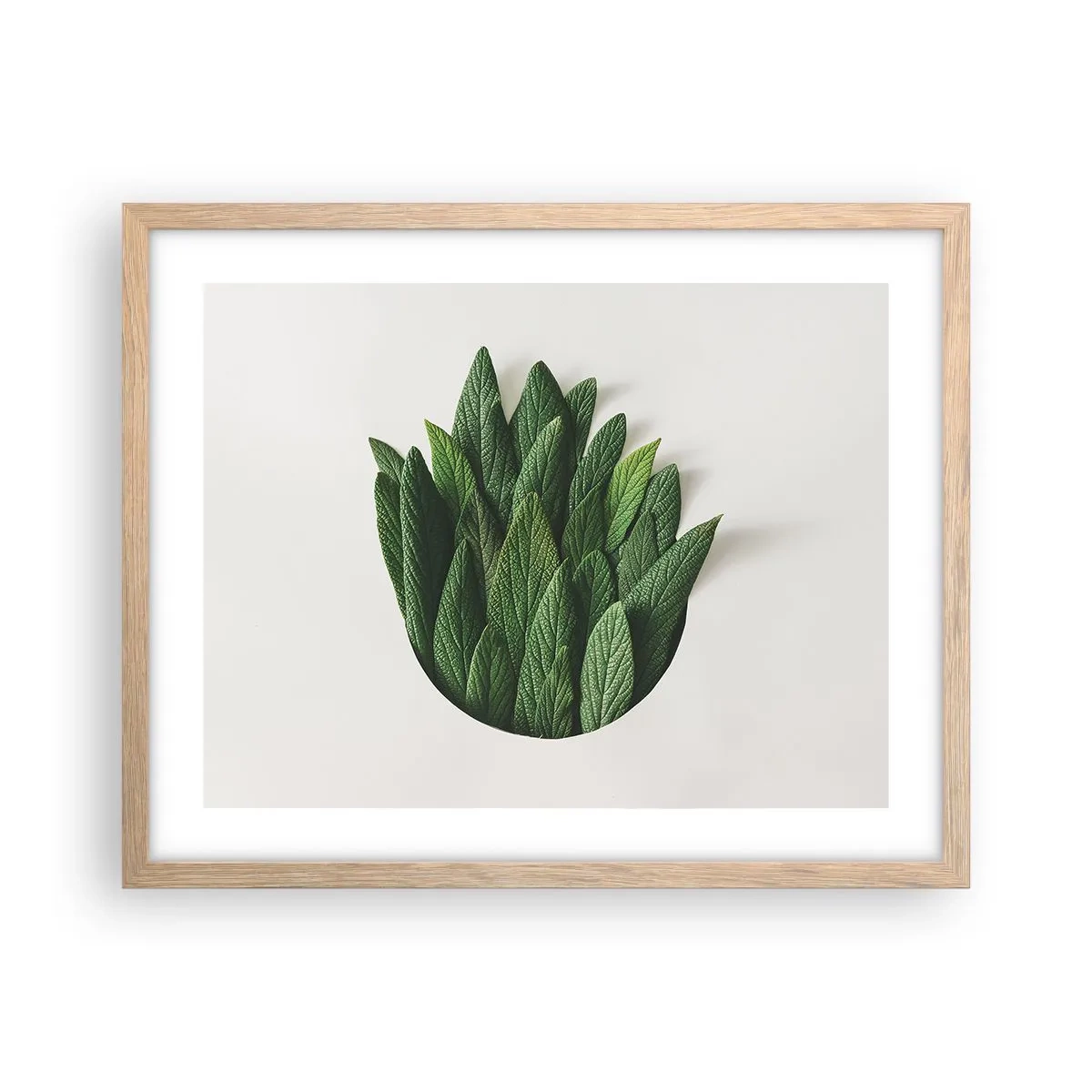 Poster în ramă de stejar deschis - Curiozitatea nestăvilită - 50x40 cm