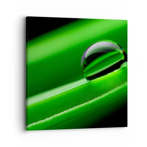 Tablou pe pânză - Viața de aproape - 30x30 cm