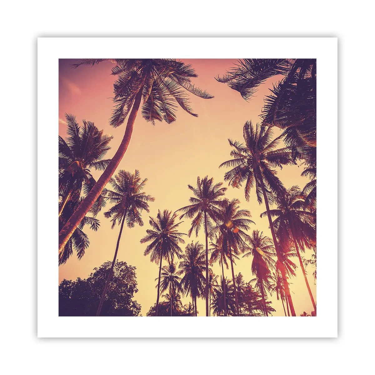 Poster - Variație tropicală - 50x50 cm