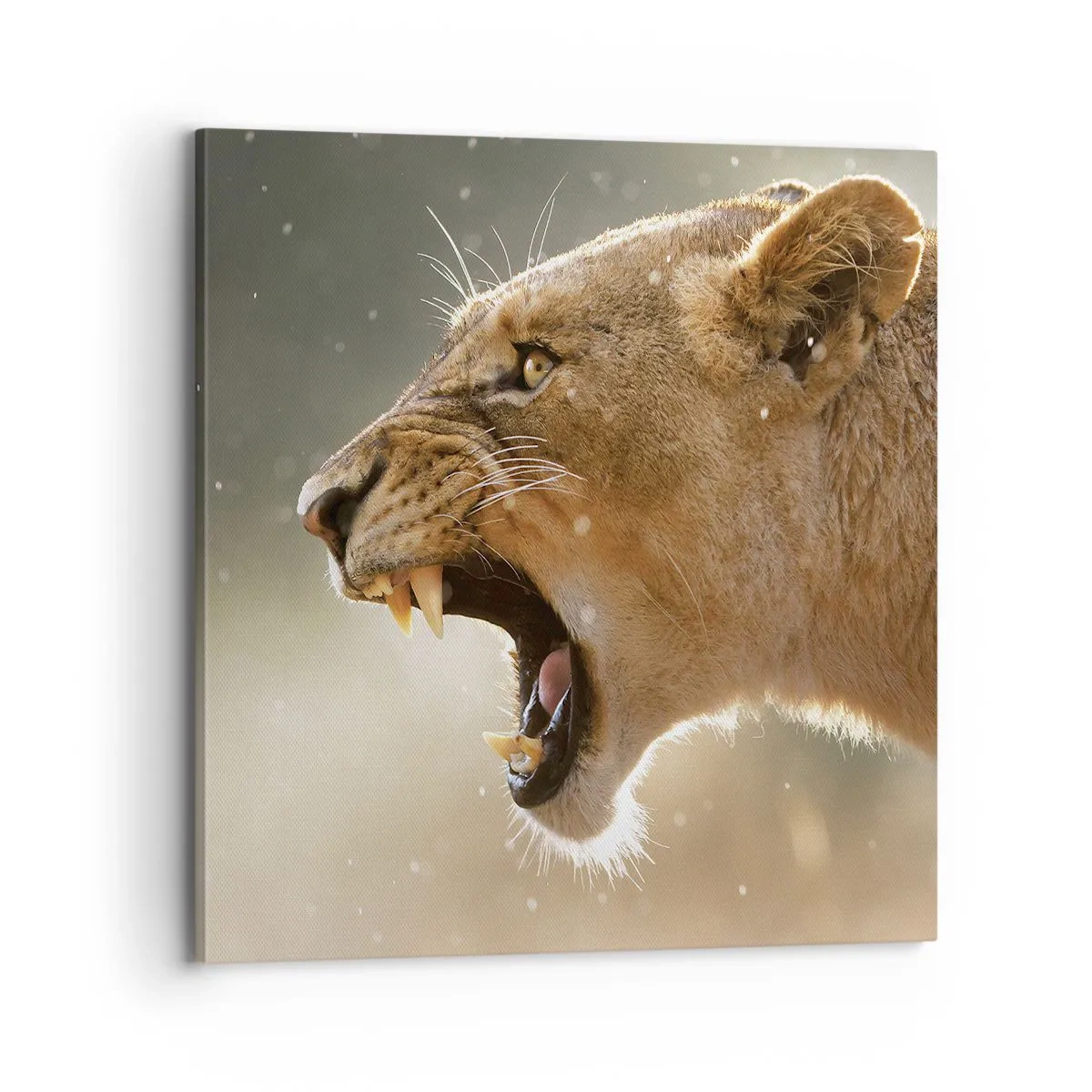 Tablou pe pânză - Încearcă să nu asculți - 70x70 cm