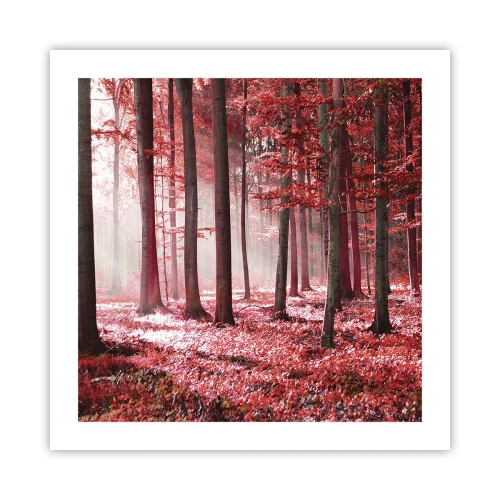 Poster - Roșie este la fel de frumoasă - 50x50 cm