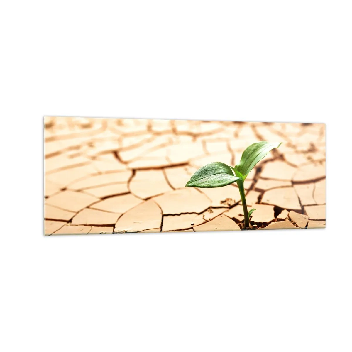 Tablou pe sticlă - Forța irepresibilă a vieții - 140x50 cm