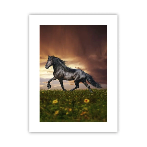 Poster - Prințul negru - 30x40 cm