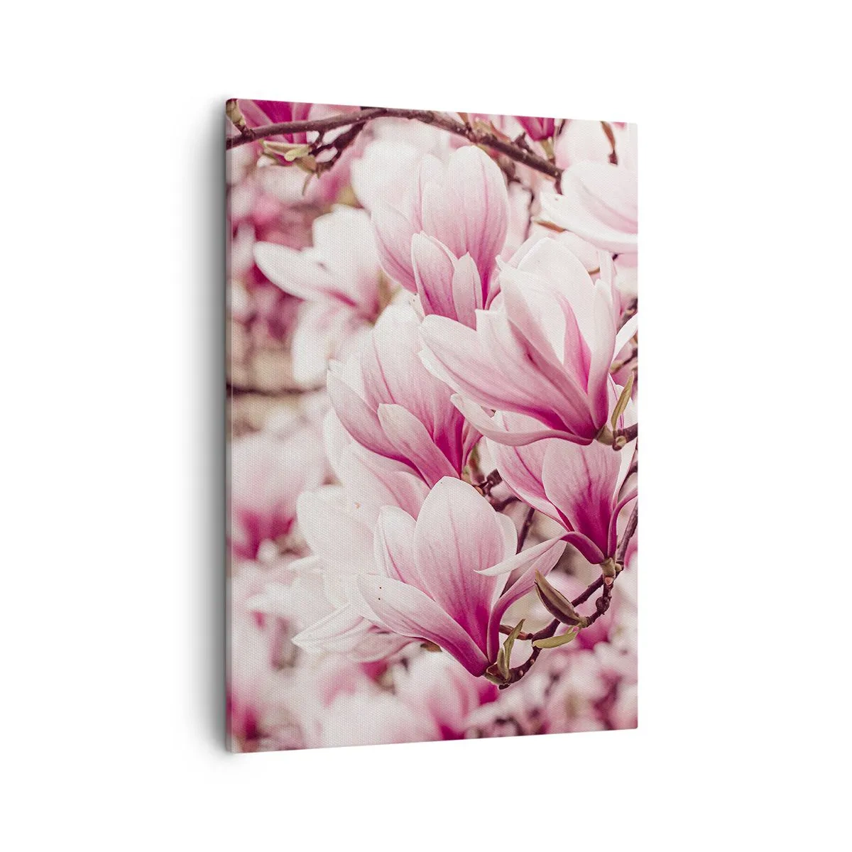Tablou pe pânză - Primăvara este roz - 50x70 cm