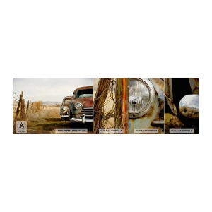 Mostră tapet Premium Canvas - O odihnă binemeritată - Mașină veche, Automobile, Epocă - 100x30 cm