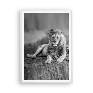 Poster în ramă albă - Siesta regală - 70x100 cm