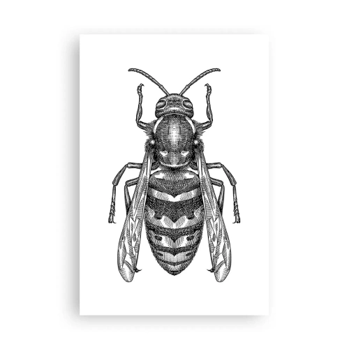 Poster - De pe o planetă de insecte - 61x91 cm
