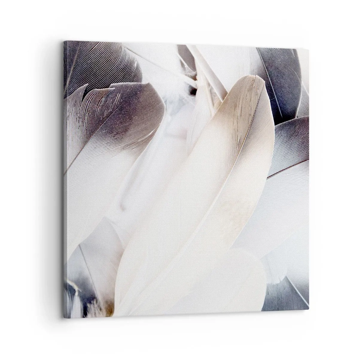 Tablou pe pânză - Aproape angelice - 60x60 cm