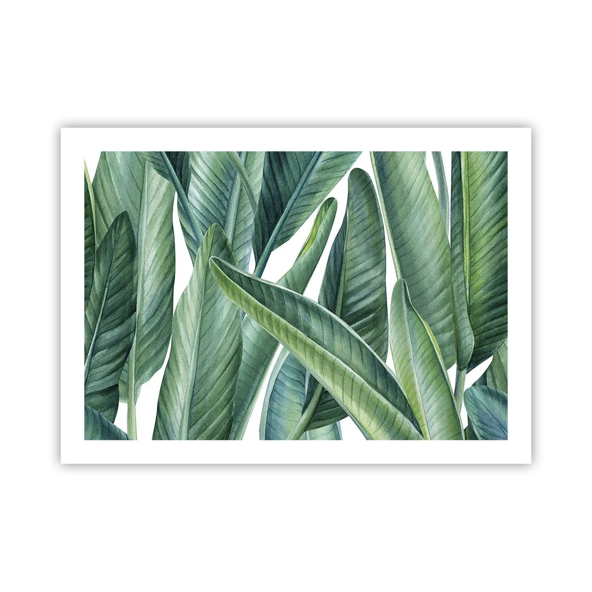 Poster - Verdeața în sine - 70x50 cm