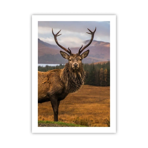 Poster - Măreția naturii - 50x70 cm